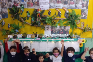 Exposição Boneco Ecológico   Experiência com Alpiste   1º Ano