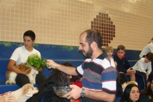 Dia de São Francisco   Benção dos animais