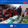 Exposição Boneco Ecológico - Experiência com Alpiste