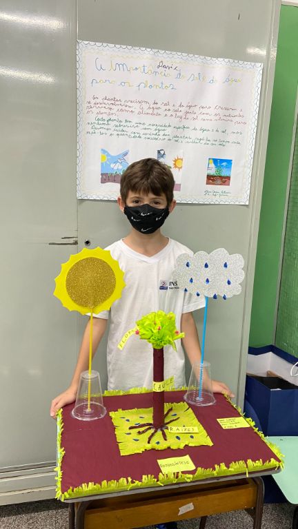 Projeto Feira de Ciências - A importância da Água e do Sol para as Plantas - 2º ano