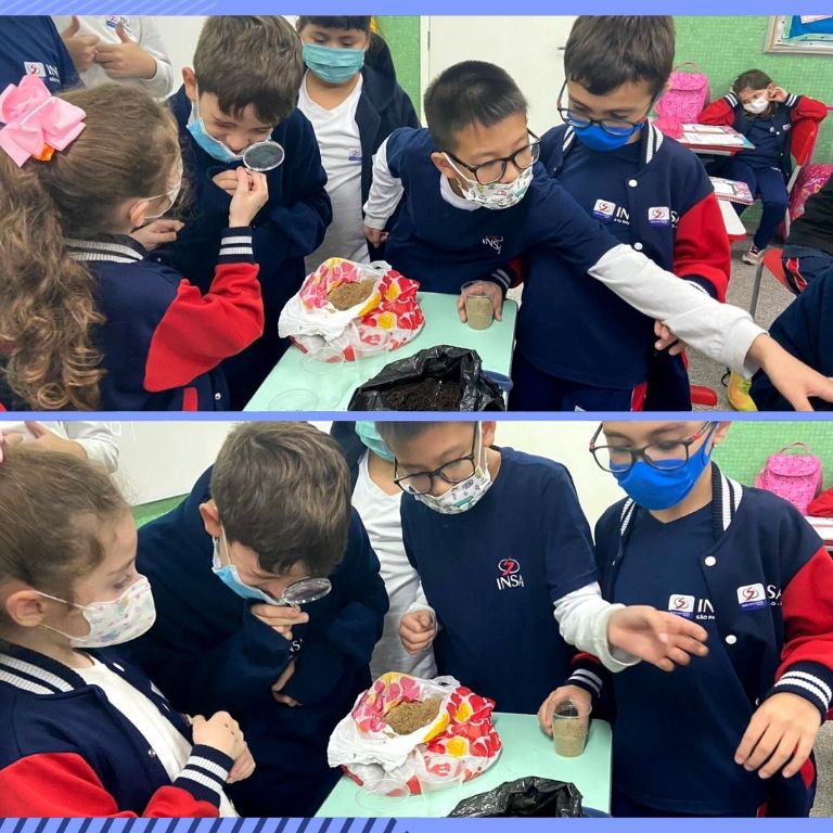 Aprendendo sobre diferentes tipos de solos - 3º ano