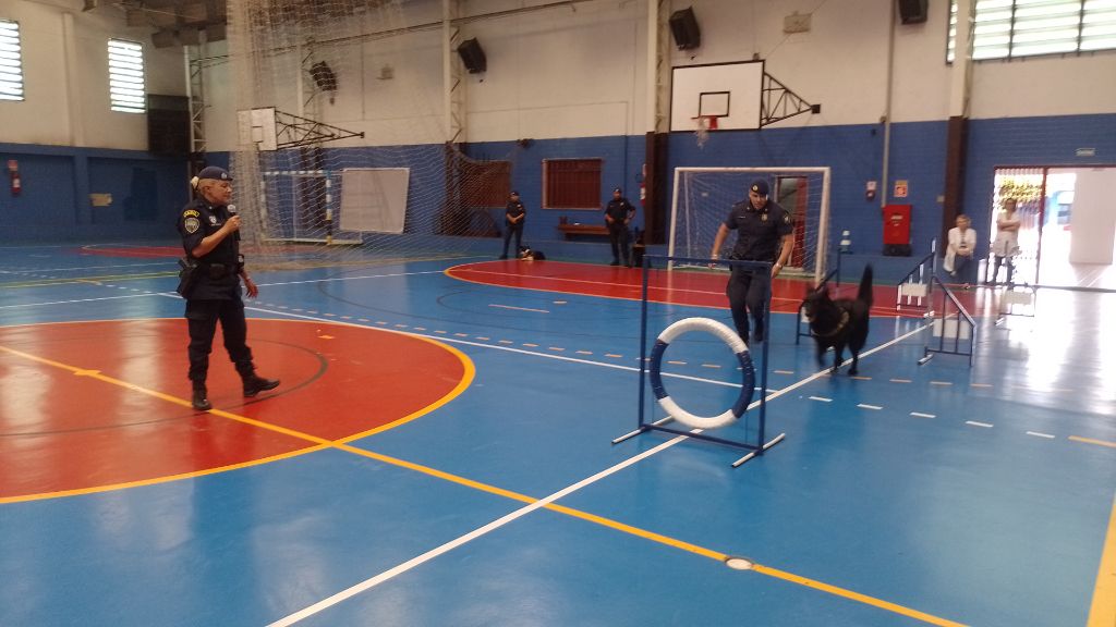 Apresentação do Canil da GCM de São Paulo