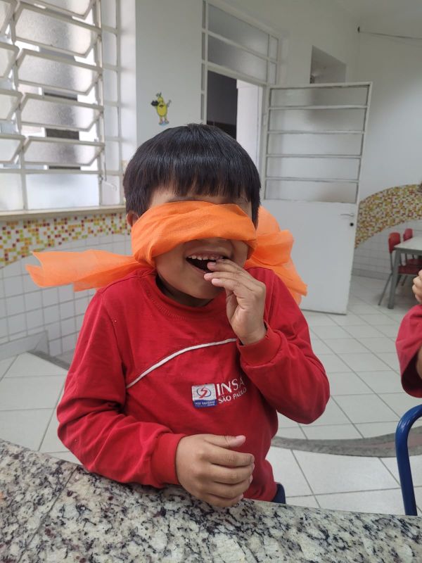 Explorando os Sentidos: Estudantes do Complementar do 1º e 2º Ano Imersos em uma Jornada Sensorial